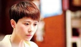 爆料娱乐圈海清的小说叫什么,海清的爆笑人生